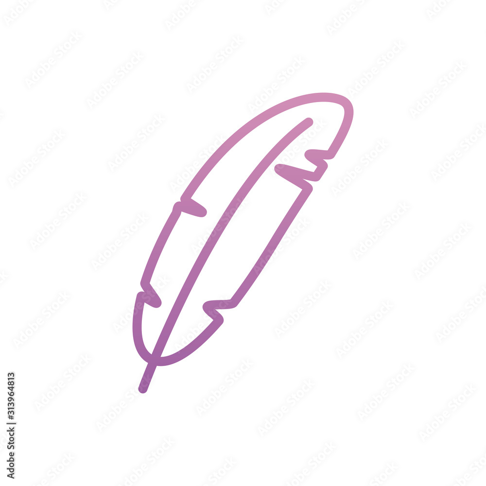 Isolated feather plume vector design Isolated feather plume vector design