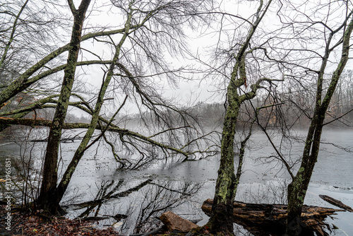 Into the mist