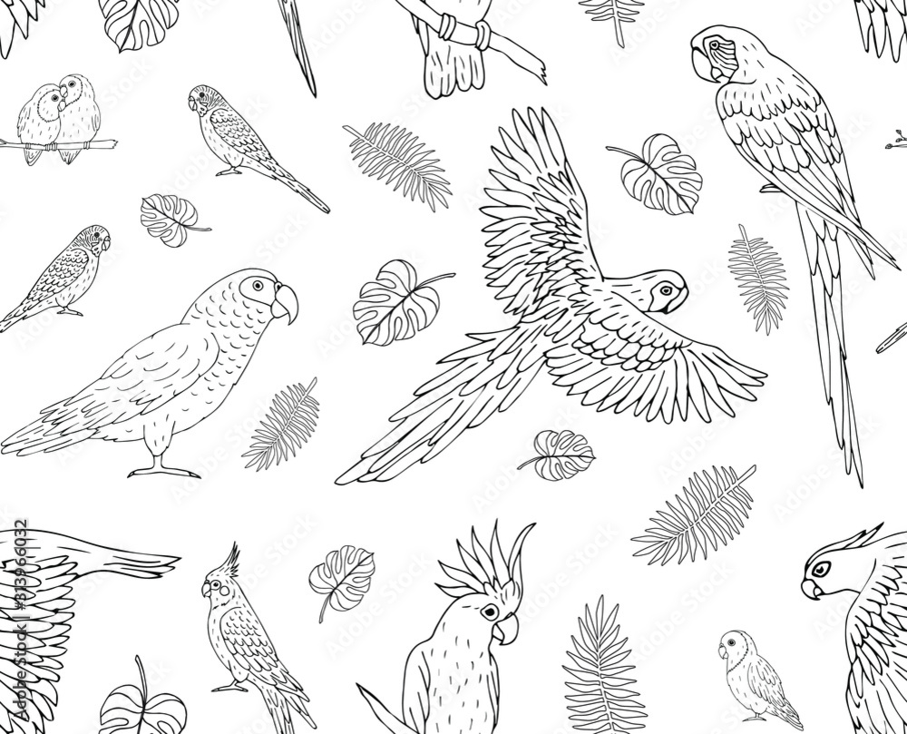 Vector seamless pattern of hand drawn doodle sketch parrots isolated on white background Vector seamless pattern of hand drawn doodle sketch parrots isolated on white background