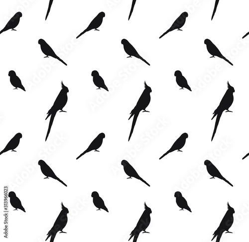 Vector seamless pattern of black different parrots silhouette isolated on white background