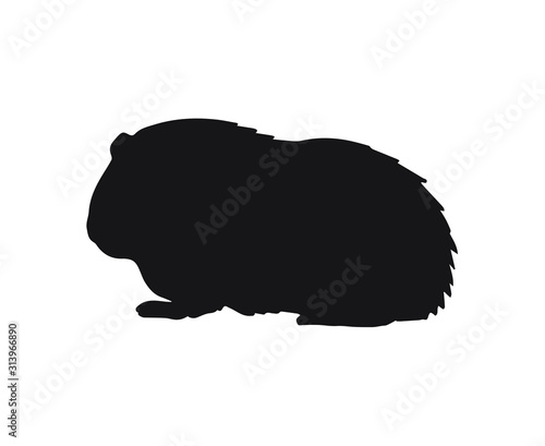 Vector black Guinea pig silhouette isolated on white background