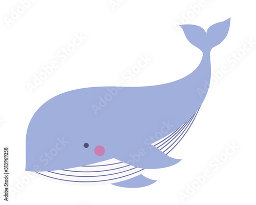 Cute whale cartoon vector design