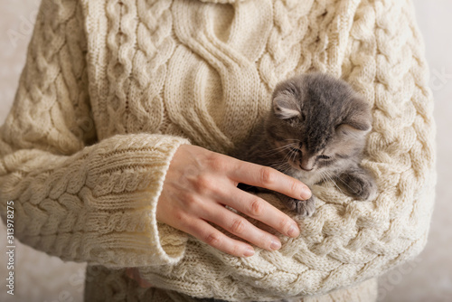 Woman holding her striped cat. Gray striped kitten play with female hand in a beige sweater. cozy home, pets, Little cute striped fluffy cat.