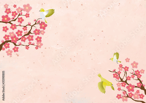 梅：梅　3月　鶯　和風　フレーム　背景　フレーム枠　手描き　水彩
