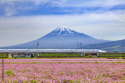 富士山とレンゲ畑そして新幹線、静岡県富士市中里にて photo