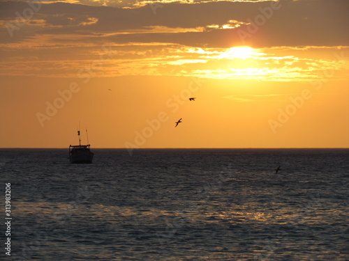 Fishing boat starting work at sunset.