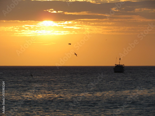 Fishing boat starting work at sunset. © Vlad Loschi