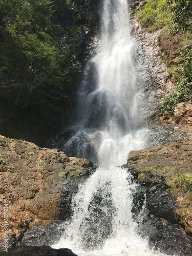 cascadas en la naturaleza
