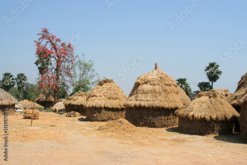 Brown haystacks are on floor and blue sky, India.