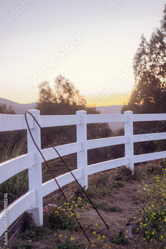 Pickett White Fence on Ranch