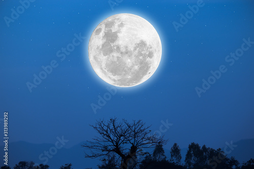 Blurred bright moon on blue sky background with silhouetted trees.