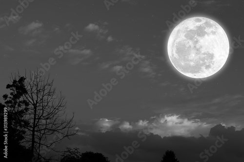 Full moon on the sky with silhoutte nature. © Onkamon