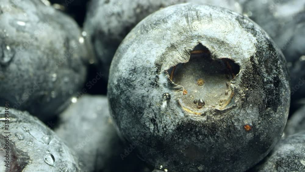 Macro view of blueberry in pile slowly rotating. Macro view of blueberry in pile slowly rotating.