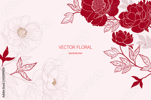 abstract red peony and gold light gradient lines background vector Illustration for card invite , wallpaper.