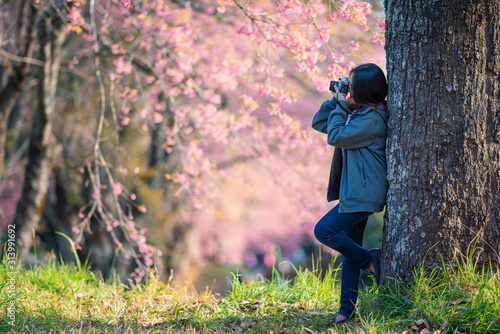 Girl with film camera in spring cherry blossom in Thailand. © Songsak C