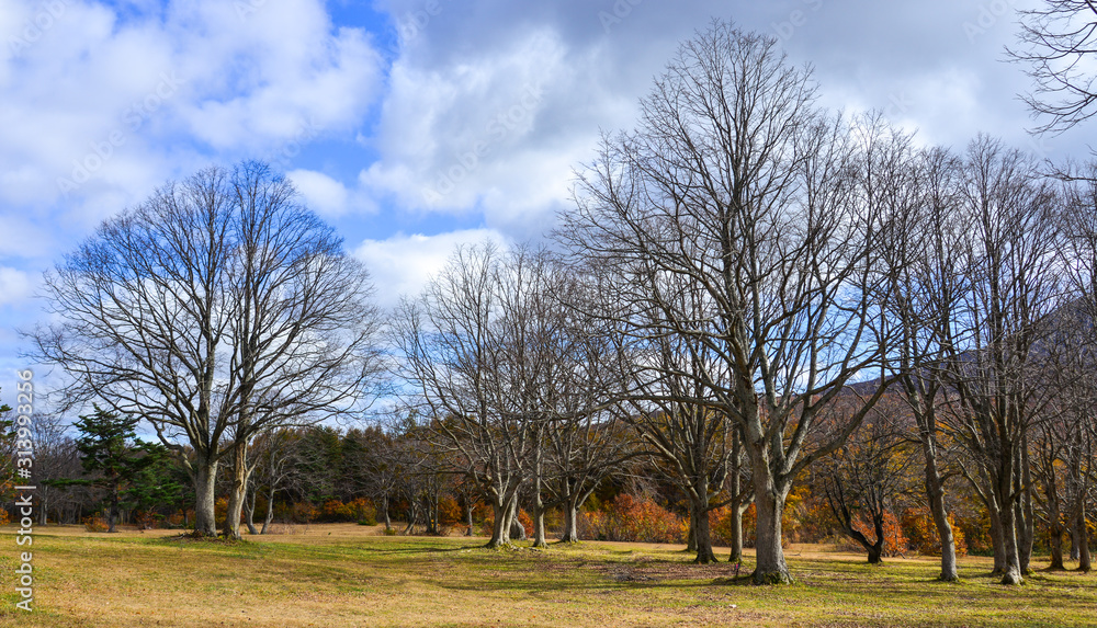 Autumn scenery of Aomori, Japan Autumn scenery of Aomori, Japan