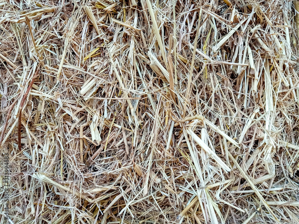 background of straw background of straw