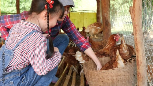 Asian mother and her daughter picking up eggs from her chicken farm happily in the morning.