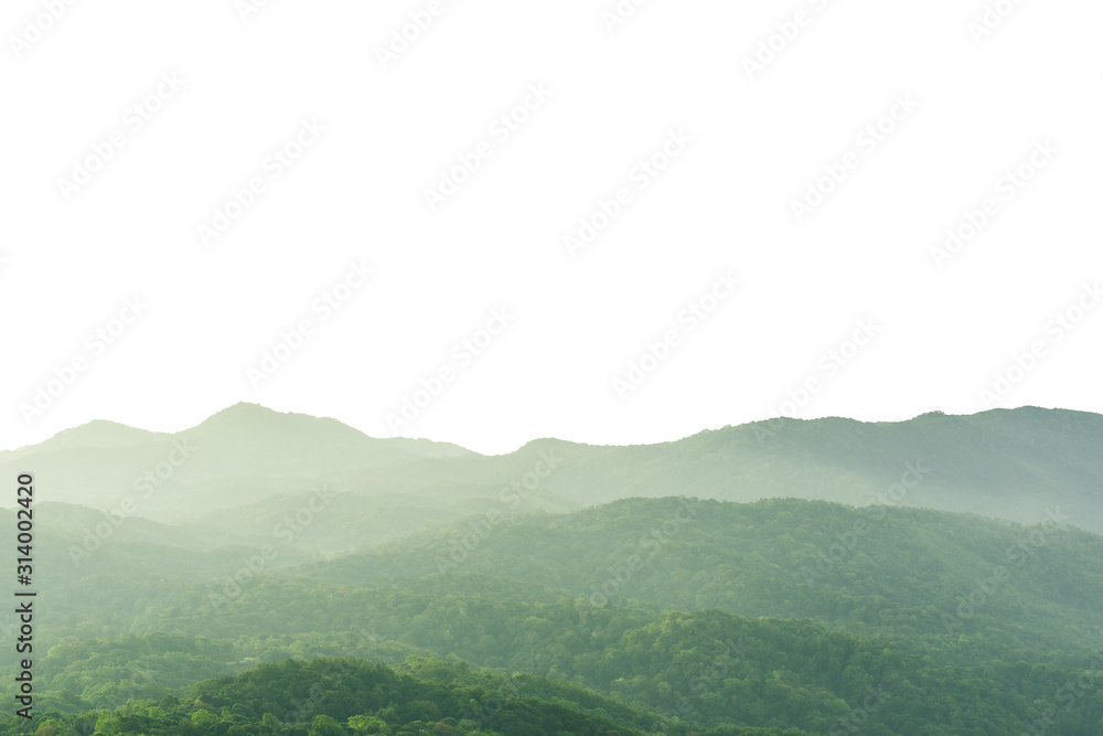 beautiful scenery foggy mountains and Forest Hill landscape with silhouettes isolated on white background