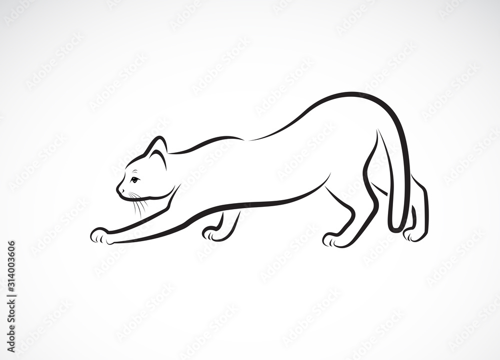 Fototapeta premium Vector of a cat design on white background. Pet. Animals. Cats logo or icon. Easy editable layered vector illustration.