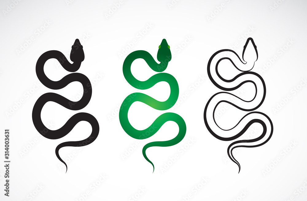 Vector of snake design on white background. Animals. Reptile. Snakes logo or icon. Easy editable layered vector illustration. Vector of snake design on white background. Animals. Reptile. Snakes logo or icon. Easy editable layered vector illustration.