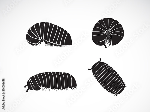 Vector of group of pill millipede worm(Oniscomorpha) isolated on a white background. Worm icon or logo., Glomerida. Insect. Animal.