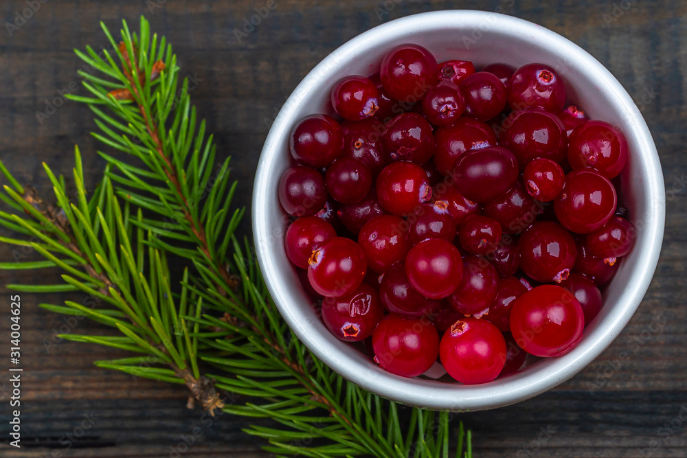 Ripe fresh cranberries in a bowl with pine branch on rustic wooden background. Winter healthy eating. Organic and vegetarian food contain vitamin c. Close up, copy space for text Ripe fresh cranberries in a bowl with pine branch on rustic wooden background. Winter healthy eating. Organic and vegetarian food contain vitamin c. Close up, copy space for text