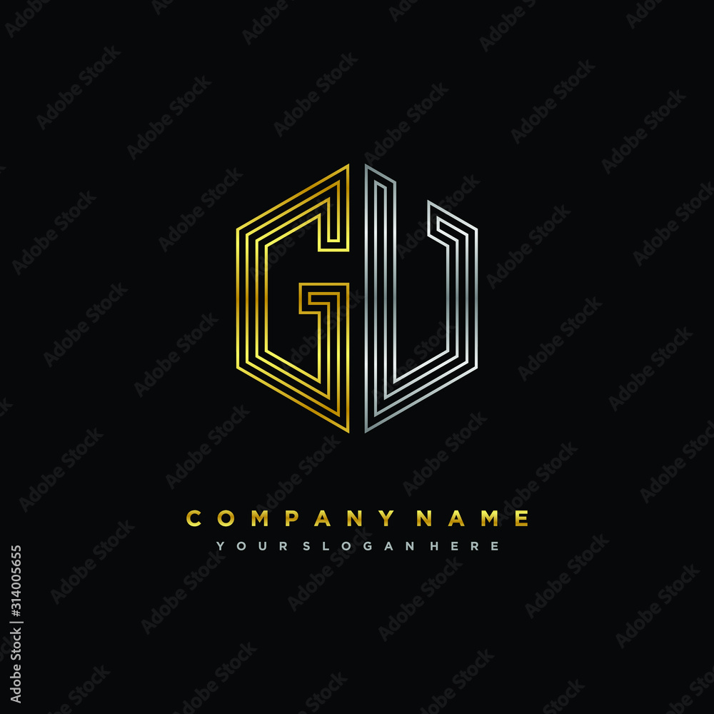 Initial letter GV, minimalist line art monogram hexagon logo, gold and silver color gradation Initial letter GV, minimalist line art monogram hexagon logo, gold and silver color gradation