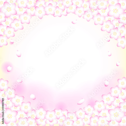 Fototapeta Naklejka Na Ścianę i Meble -  満開の桜と舞い散る花びらの背景（正方形）
