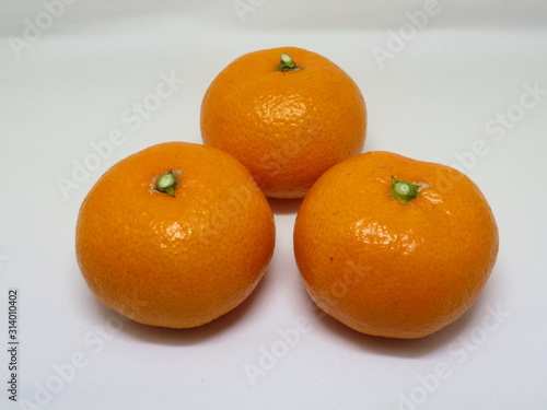 べにばえ（みかん品種、白バック）