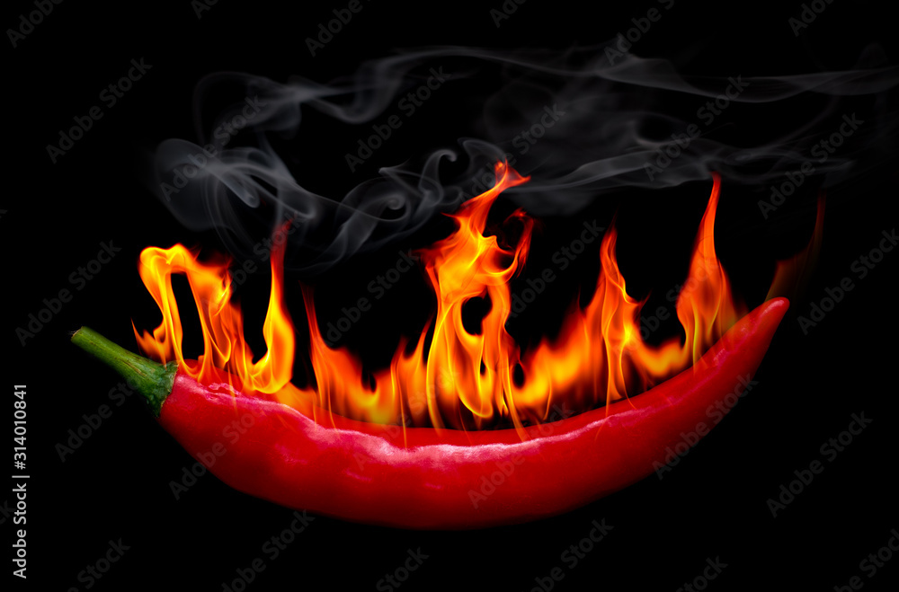 fire red chili pepper at black Stock Photo | Adobe Stock