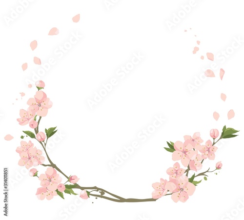 Cherry flowers- frame. Vector illustration, set of blooming sakura twigs