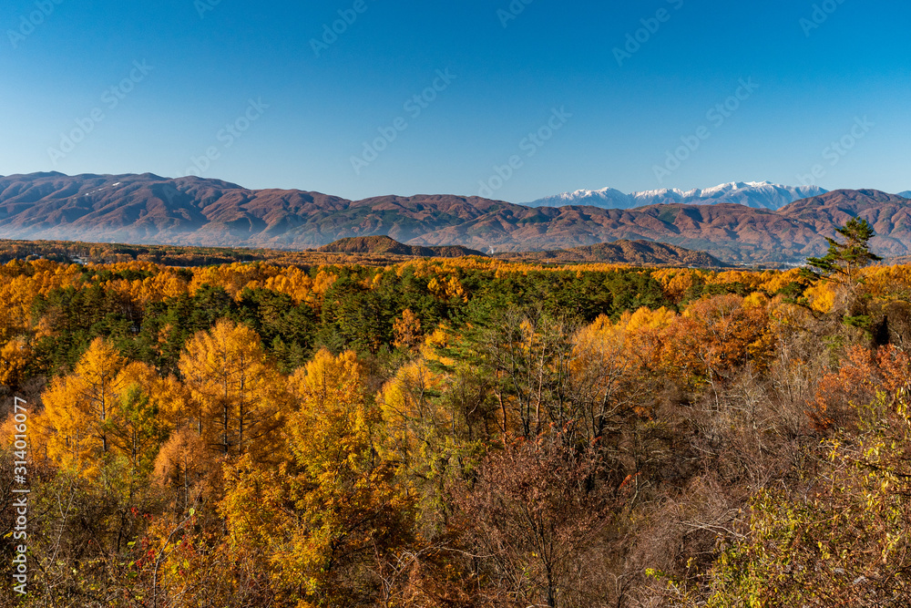 Central highlands in late autumn in Japan A