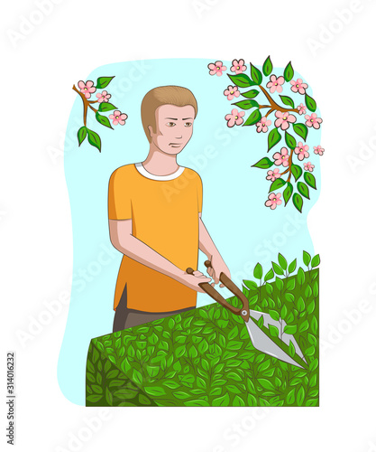Work in the garden. A man is cutting a hedge with clippers. Design element. Vector illustration.