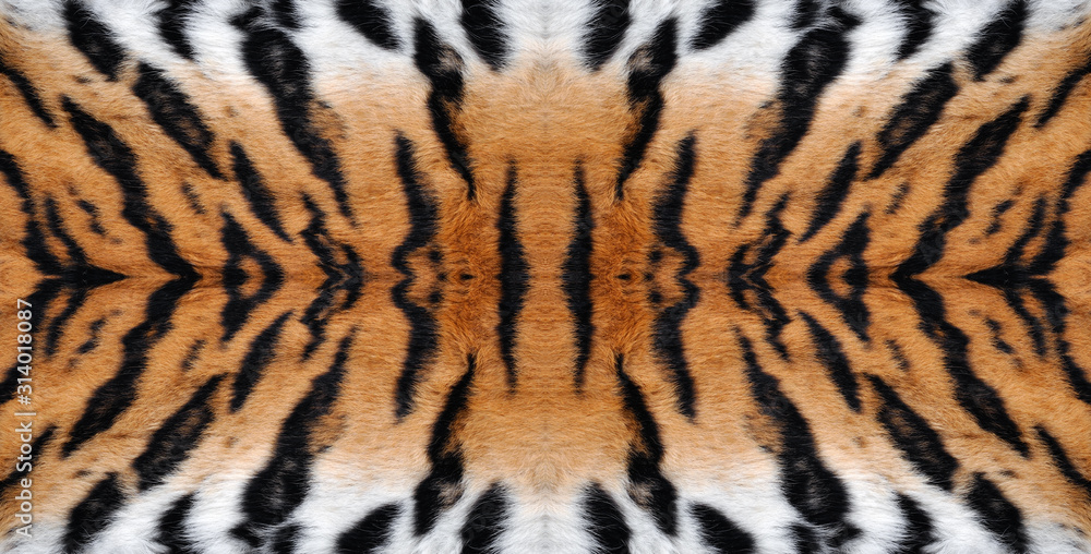 background animal tiger skin pattern background animal tiger skin pattern