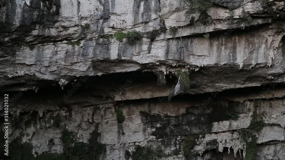 Basement of Las Golondrinas (Hirundo rustica) is a natural abyss located in the town of Aquismón belonging to the Mexican state of San Luis Potosí Basement of Las Golondrinas (Hirundo rustica) is a natural abyss located in the town of Aquismón belonging to the Mexican state of San Luis Potosí