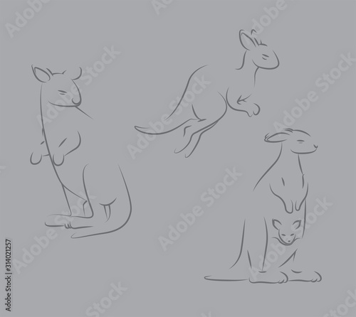 Kangaroo Line Art Conservation Style Animation Sequence Vector Illustration