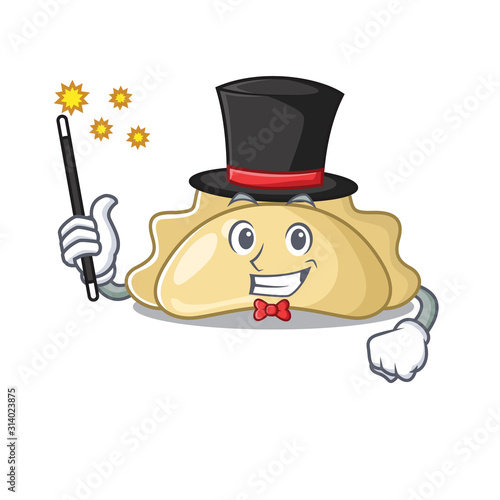 A picture of pierogi performance as a Magician