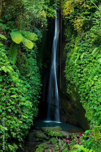 Fototapeta Naklejka Na Ścianę i Meble -  Waterfall landscape. Beautiful hidden Leke Leke waterfall in Bali. Waterfall in tropical rainforest. Slow shutter speed, motion photography.