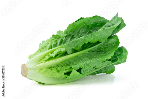 Fresh green Lettuce leaves, Salad leaf isolated on white background. with clipping path.