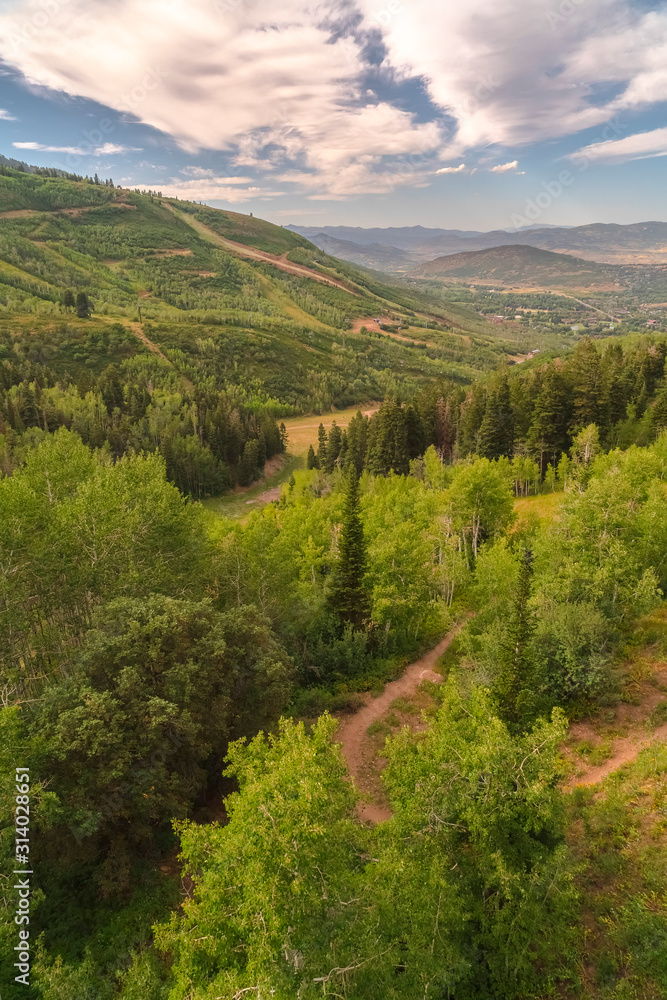 Hiking trails and green trees on a ski resort mountain in Park City in summer