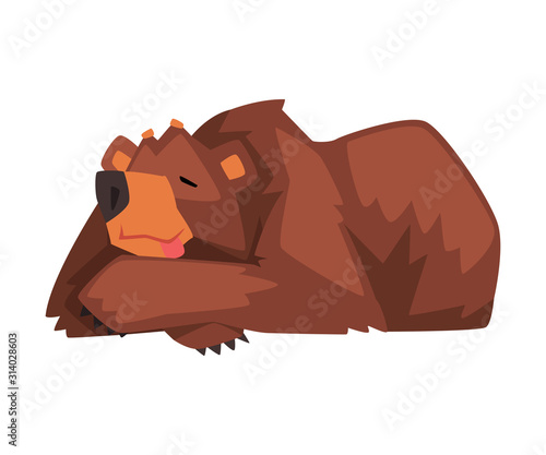 Sleeping Brown Bear, Cute Wild Forest Animal Character Cartoon Vector illustration