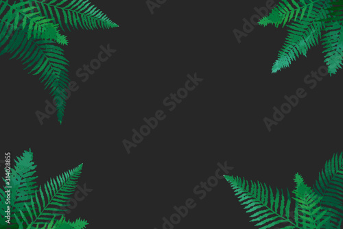 Forest fern green corners. Classic floral elements for wrapping, flyers, cards, branding and digital scrapbooking