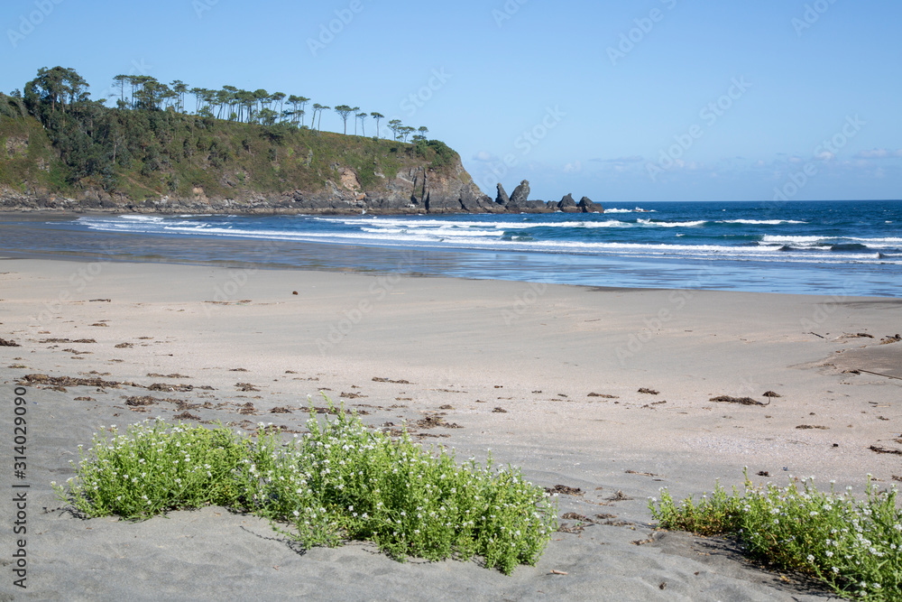 Landscape View at Barayo Beach; Asturias