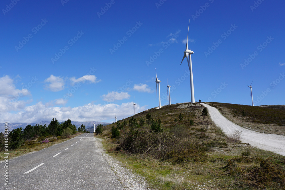 Road to windmills in wind park