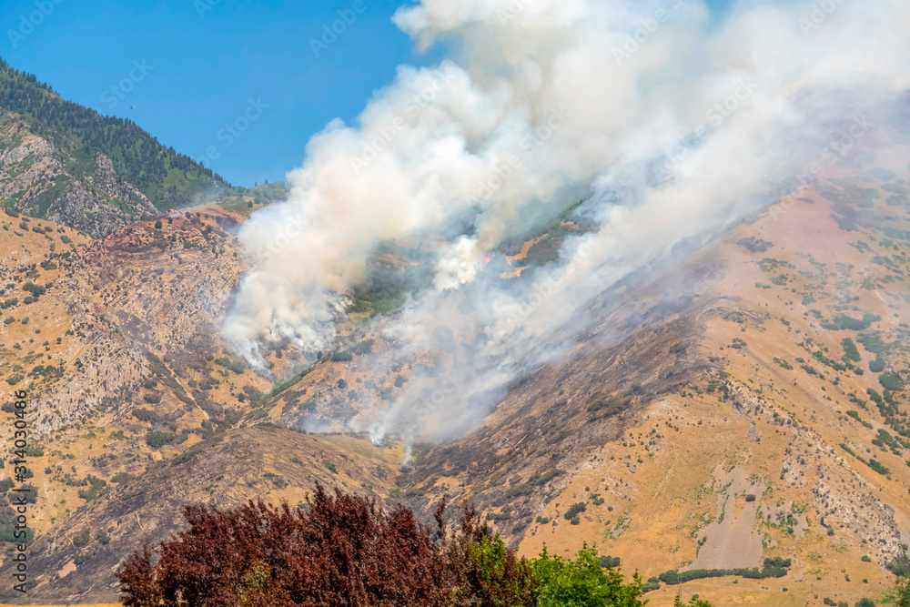 Mountain slope with vegetation and smoke from wild forest fire against blue sky