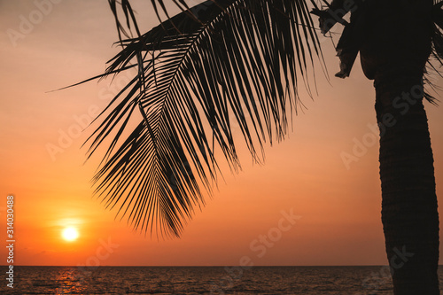 Silhouette of palm tree on the beach. View on the tropical sunset from the beach. Water with reflection of sun. Calm, romantic and tranquil landscape.