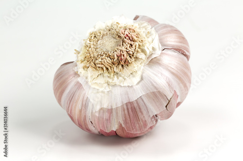 a opend semi-peeled organic garlic bulb with cloves isolated on white background photo