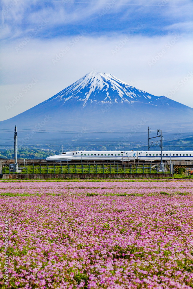 Φωτογραφία 富士山とレンゲ畑そして新幹線、静岡県富士市中里にて