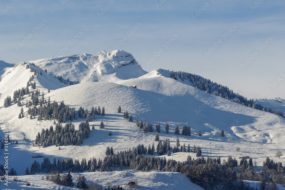 Paysage de montagne en hiver